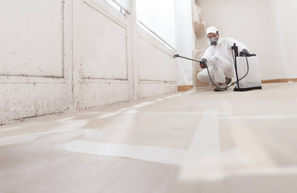 24/7 Emergency Bathroom Mold Removal experts in Winchester, TN